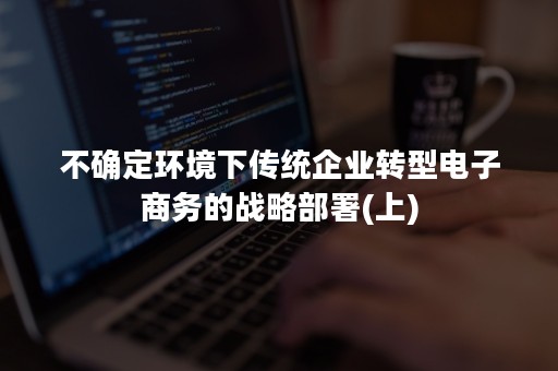 不确定环境下传统企业转型电子商务的战略部署(上)