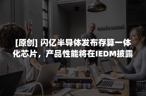 [原创] 闪亿半导体发布存算一体化芯片，产品性能将在IEDM披露