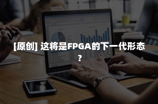 [原创] 这将是FPGA的下一代形态？