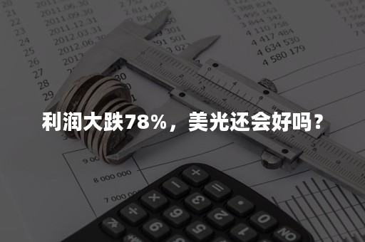 利润大跌78%，美光还会好吗？