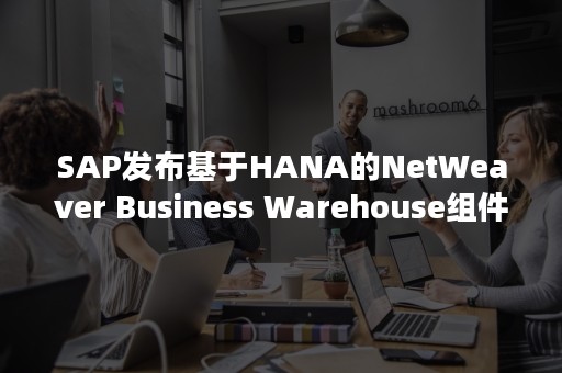 SAP发布基于HANA的NetWeaver Business Warehouse组件