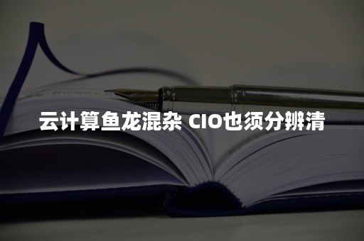 云计算鱼龙混杂 CIO也须分辨清