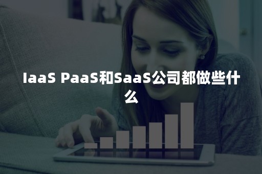 IaaS PaaS和SaaS公司都做些什么