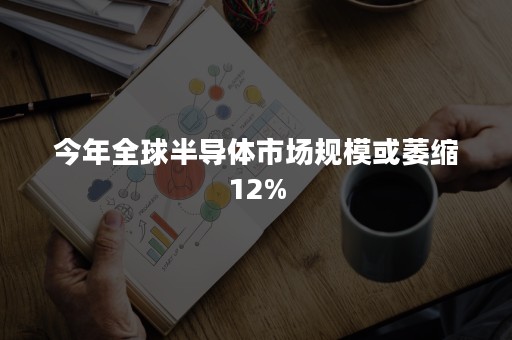 今年全球半导体市场规模或萎缩12%