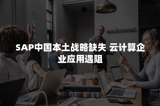 SAP中国本土战略缺失 云计算企业应用遇阻