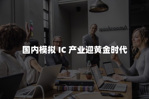 国内模拟 IC 产业迎黄金时代