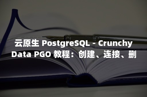 云原生 PostgreSQL - CrunchyData PGO 教程：创建、连接、删除 Postgres 集群（云原生安全）