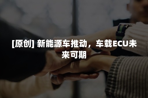 [原创] 新能源车推动，车载ECU未来可期