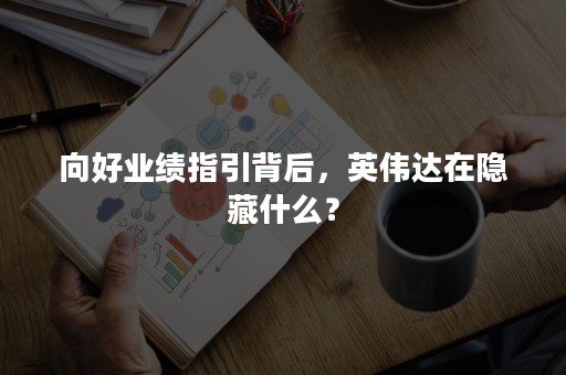 向好业绩指引背后，英伟达在隐藏什么？