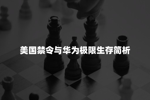 美国禁令与华为极限生存简析