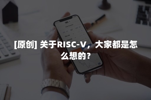 [原创] 关于RISC-V，大家都是怎么想的？