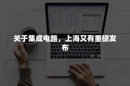 关于集成电路，上海又有重磅发布