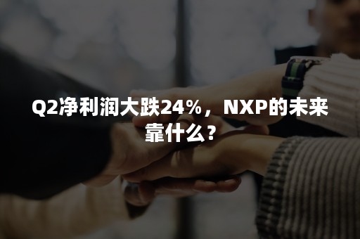 Q2净利润大跌24%，NXP的未来靠什么？