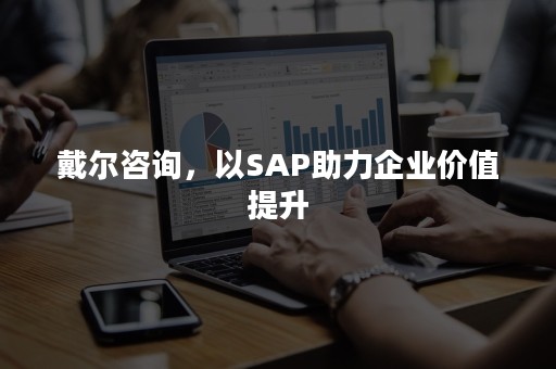 戴尔咨询，以SAP助力企业价值提升