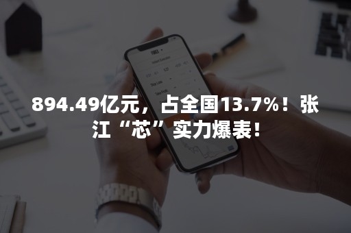 894.49亿元，占全国13.7%！张江“芯”实力爆表！