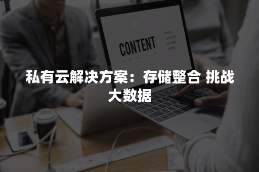 私有云解决方案：存储整合 挑战大数据