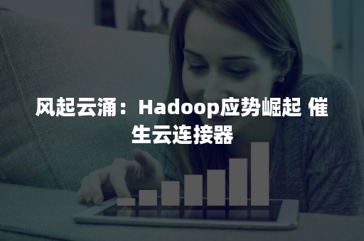 风起云涌：Hadoop应势崛起 催生云连接器