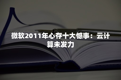 微软2011年心存十大憾事：云计算未发力