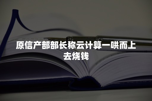 原信产部部长称云计算一哄而上去烧钱