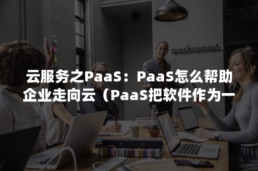 云服务之PaaS：PaaS怎么帮助企业走向云（PaaS把软件作为一种服务来提供）