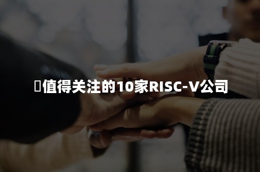 ​值得关注的10家RISC-V公司