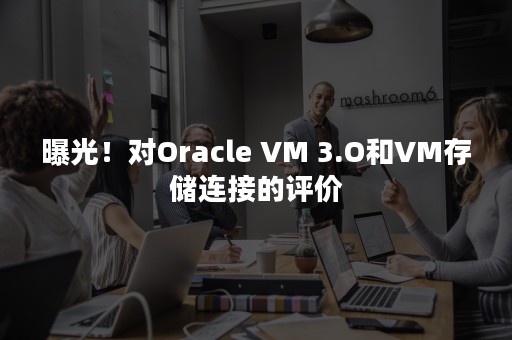 曝光！对Oracle VM 3.O和VM存储连接的评价