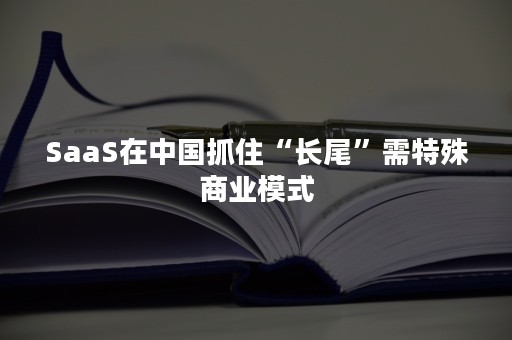 SaaS在中国抓住“长尾”需特殊商业模式