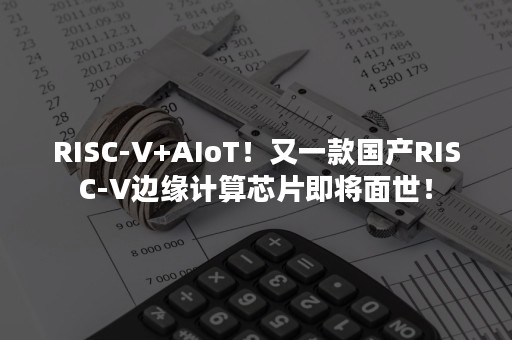 RISC-V+AIoT！又一款国产RISC-V边缘计算芯片即将面世！