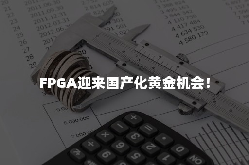 FPGA迎来国产化黄金机会！