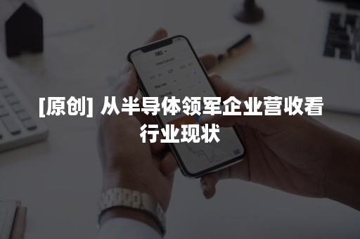 [原创] 从半导体领军企业营收看行业现状