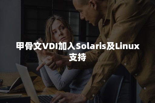 甲骨文VDI加入Solaris及Linux支持