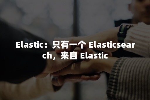 Elastic：只有一个 Elasticsearch，来自 Elastic