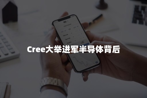 Cree大举进军半导体背后