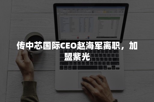 传中芯国际CEO赵海军离职，加盟紫光