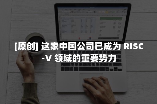 [原创] 这家中国公司已成为 RISC-V 领域的重要势力