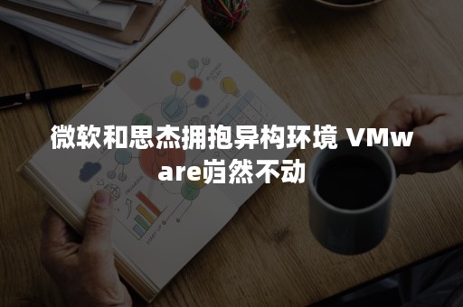 微软和思杰拥抱异构环境 VMware岿然不动