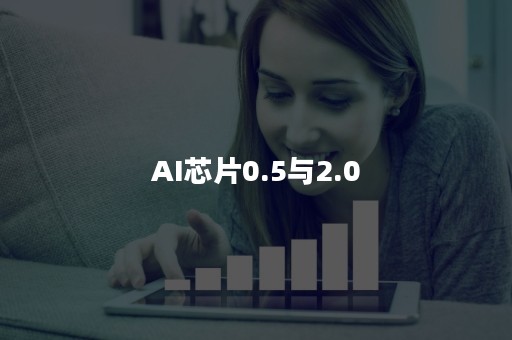 AI芯片0.5与2.0