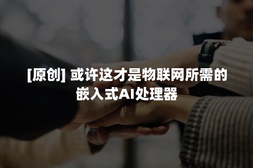 [原创] 或许这才是物联网所需的嵌入式AI处理器