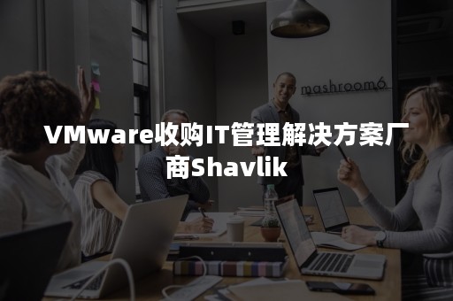 VMware收购IT管理解决方案厂商Shavlik