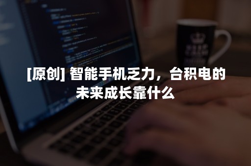 [原创] 智能手机乏力，台积电的未来成长靠什么