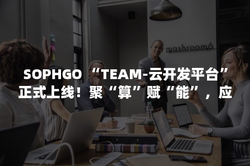 SOPHGO “TEAM-云开发平台”正式上线！聚“算”赋“能”，应“云”而生