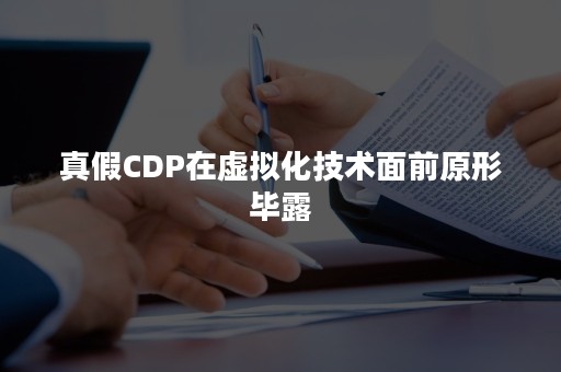 真假CDP在虚拟化技术面前原形毕露