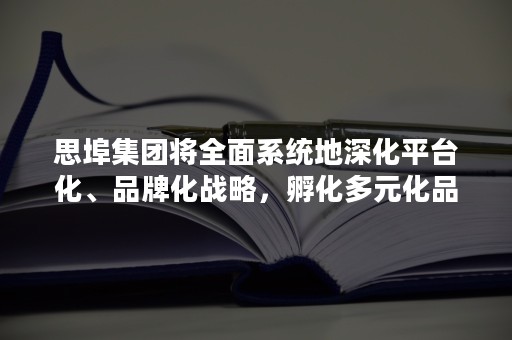 思埠集团将全面系统地深化平台化、品牌化战略，孵化多元化品牌