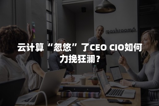 云计算“忽悠”了CEO CIO如何力挽狂澜？