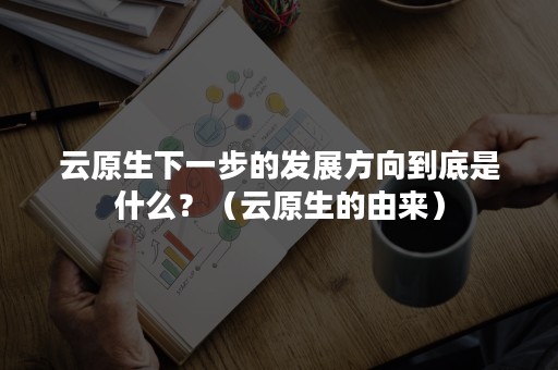 云原生下一步的发展方向到底是什么？（云原生的由来）