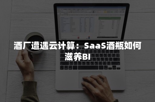 酒厂遭遇云计算：SaaS酒瓶如何滋养BI