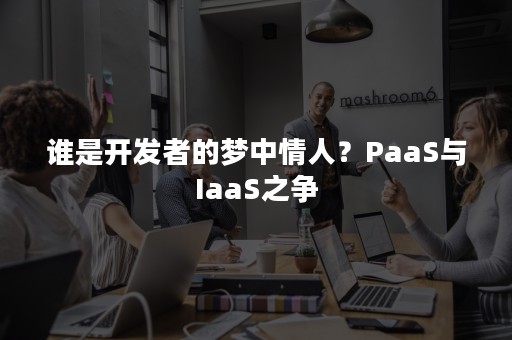 谁是开发者的梦中情人？PaaS与IaaS之争