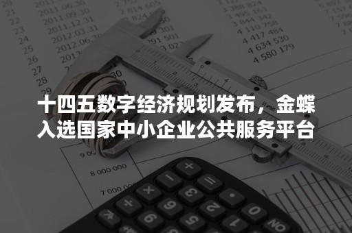 十四五数字经济规划发布，金蝶入选国家中小企业公共服务平台