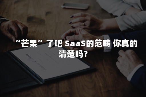 “芒果”了吧 SaaS的范畴 你真的清楚吗？