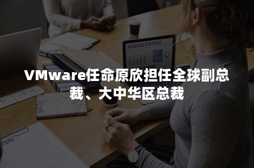 VMware任命原欣担任全球副总裁、大中华区总裁